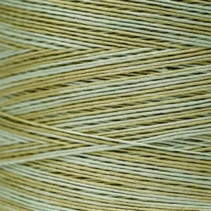 6-Strand Floss - 1191 Dried Sage