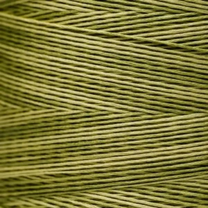 6-Strand Floss - 1193 Guacamole