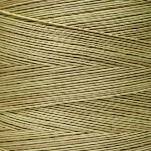 6-Strand Floss - 1194 Broom Tree
