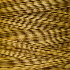 6-Strand Floss - 1223 Schneckley