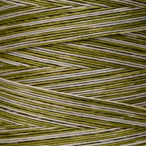 6-Strand Floss - 1256 Thyme