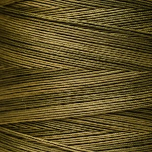 6-Strand Floss - 1265 Garrison Green