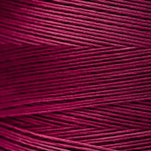 6-Strand Floss - 1343 Boysenberry