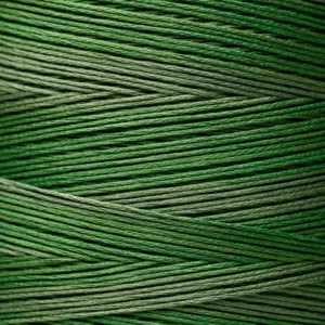 6-Strand Floss - 2156 Hunter