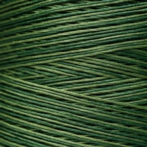 6-Strand Floss - 2168 Monkey Grass