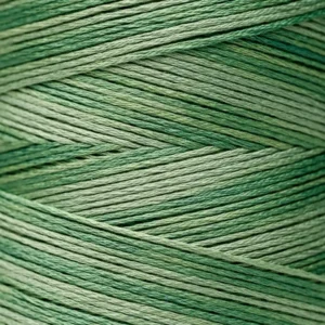 6-Strand Floss - 2171 Emerald