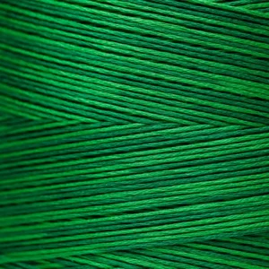 6-Strand Floss - 2173 Envy