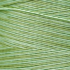 6-Strand Floss - 2176 Meadow