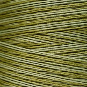 6-Strand Floss - 2196 Scuppernong