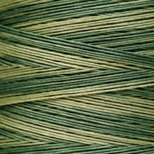 6-Strand Floss - 2198 Ivy