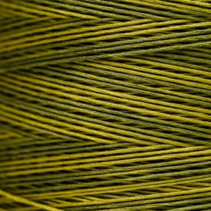6-Strand Floss - 2201 Moss