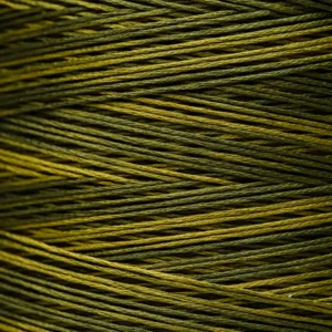 6-Strand Floss - 2202 Bullfrog