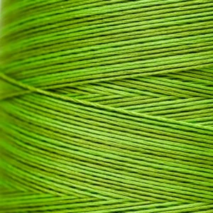 6-Strand Floss - 2204a Paris Green