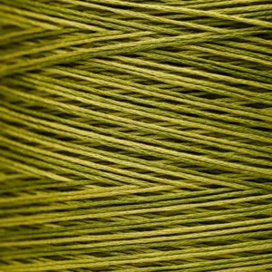 6-Strand Floss - 2205 Grasshopper