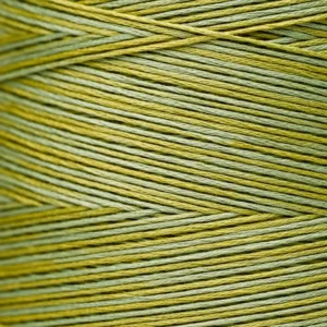 6-Strand Floss - 2206 Pistachio