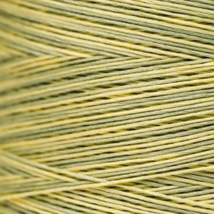 6-Strand Floss - 2210 Citronella