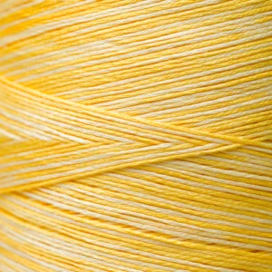 6-Strand Floss - 2218 Sally's Sunshine