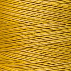 6-Strand Floss - 2220 Curry