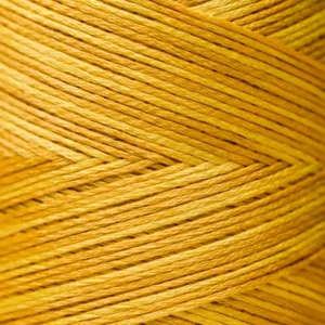 6-Strand Floss - 2224 Squash