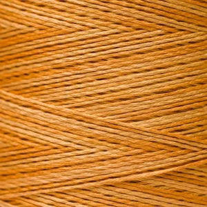 6-Strand Floss - 2225a Marmalade