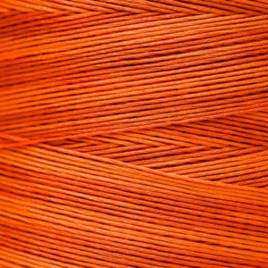 6-Strand Floss - 2228 Pumpkin