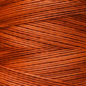 6-Strand Floss - 2238 Sweet Potato
