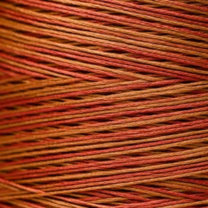 6-Strand Floss - 2242 Cognac