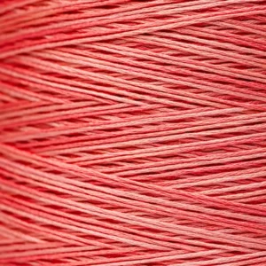 6-Strand Floss - 2249 Sockeye