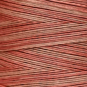 6-Strand Floss - 2254 Cinnabar