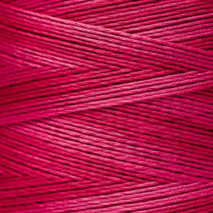 6-Strand Floss - 2263 Begonia