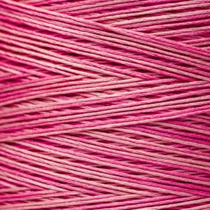 6-Strand Floss - 2276 Camellia