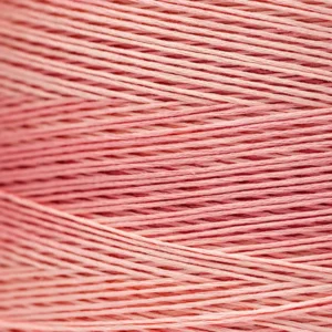 6-Strand Floss - 2278 Hibiscus