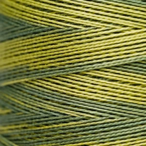 Pearl Cotton 5 - 2201 Moss