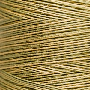 Pearl Cotton 5 - 2211 Olive