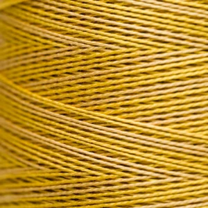 Pearl Cotton 5 - 2220 Curry