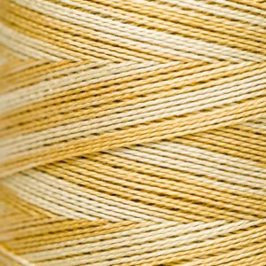 Pearl Cotton 5 - 2221 Gold