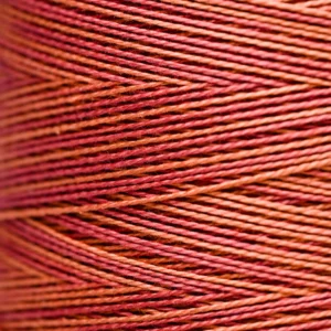 Pearl Cotton 5 - 2239 Terra Cotta